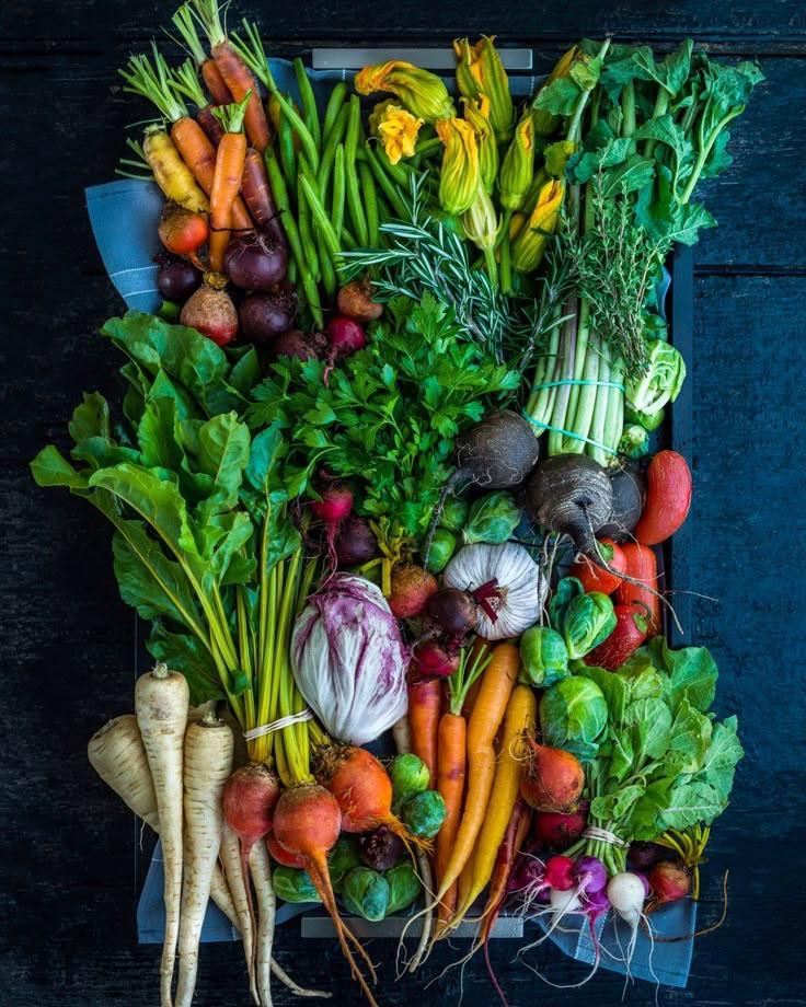 Garden Whispers: Seasonal Vegetable Symphony