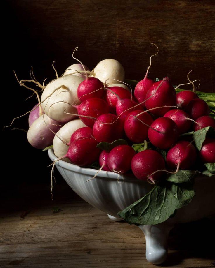 Roots & Fruits: Earth's Natural Colors Collection